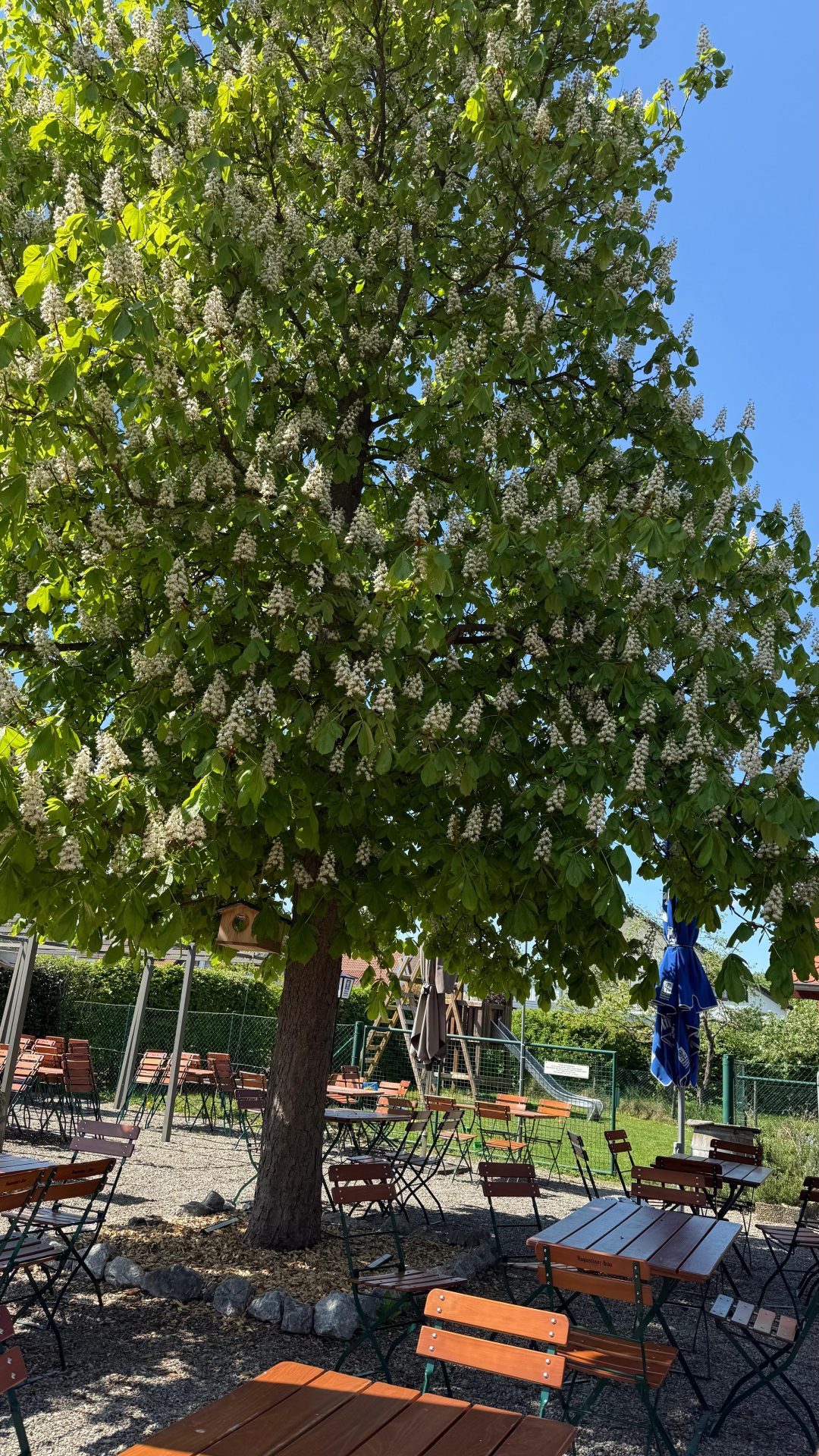 Biergarten Landgasthof Krone Schierhuber Hauptansicht